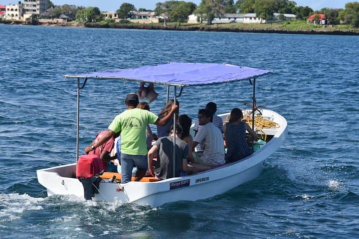 Kisite-Mpunguti Dolphin & Snorkel Tour to Wasini Island (From Shimoni) photo 4