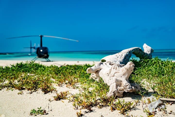 Boracay by Helicopter: Private 10-Minute Aerial Flight Over White Beach & Reefs