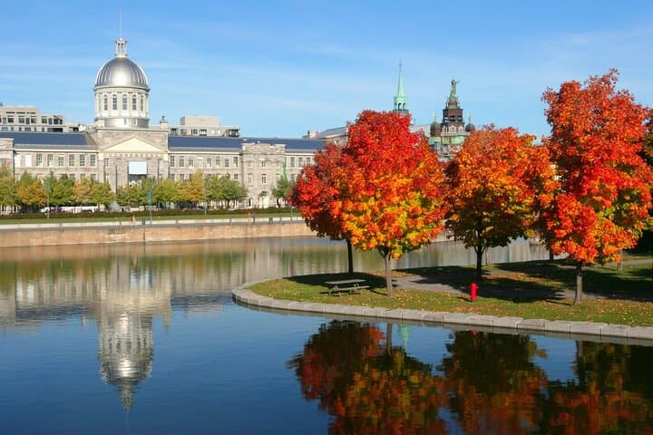 Montreal Scavenger Hunt: Self-Guided Old Montreal Walking Tour photo 2