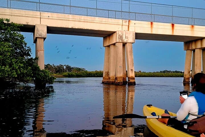 Tarpon Springs Sunset & Night Kayak Tour — Mangroves, Bats and Starry Skies photo 1