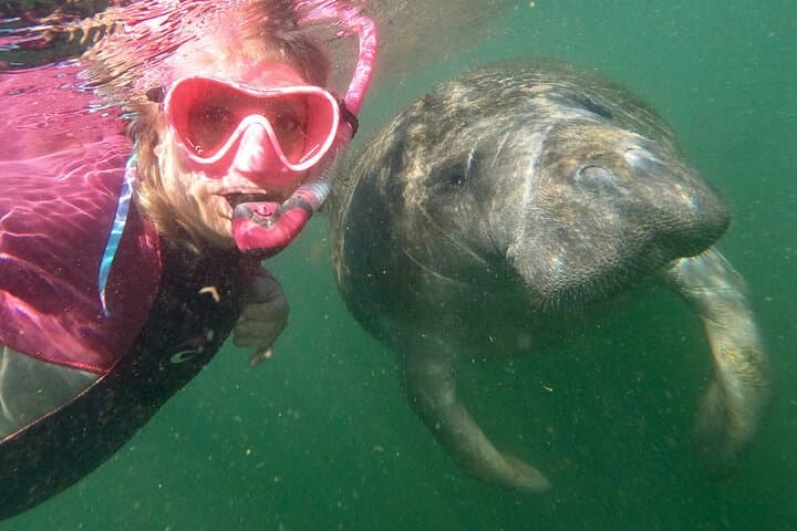 VIP Private Manatee Snorkel Tour in Crystal River — Private Boat, In-Water Guide & Photos photo 3
