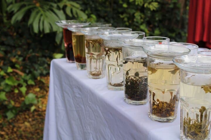 Purple Tea Farm Tour: Tea Picking, Tasting & Waterfall Walk Near Nairobi photo 5