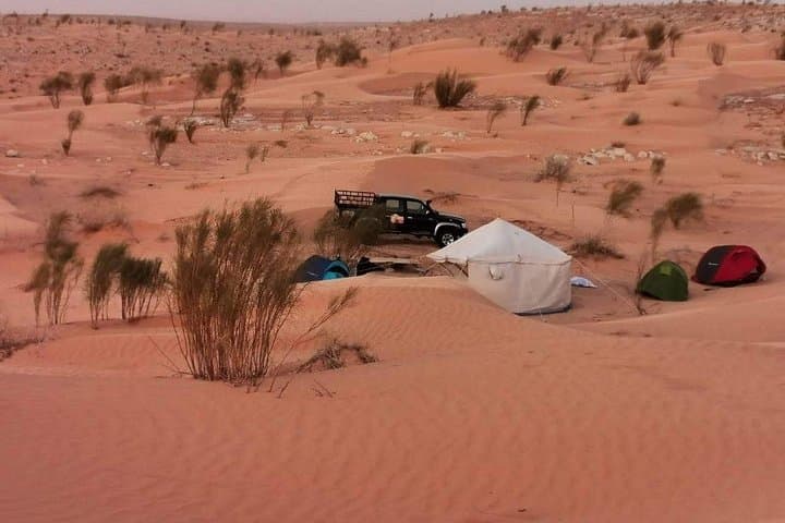 Private Desert Bivouac Near Douz: Overnight Sahara Camp & Star Gazing photo 4