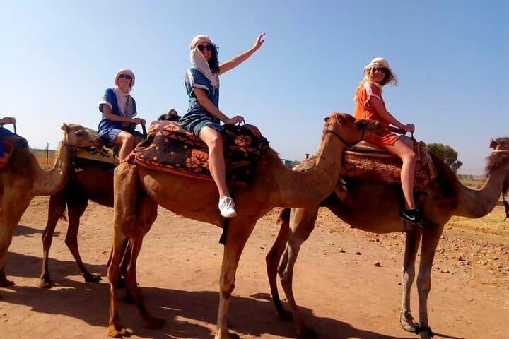 Atlas Mountains Day Trip from Marrakech: Camel Ride, Imlil Valley & Berber Village Experience photo 4