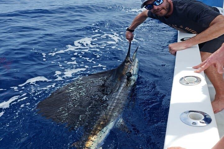 Santa Teresa Offshore Deep‑Sea Fishing: Sailfish, Marlin & Yellowfin photo 1