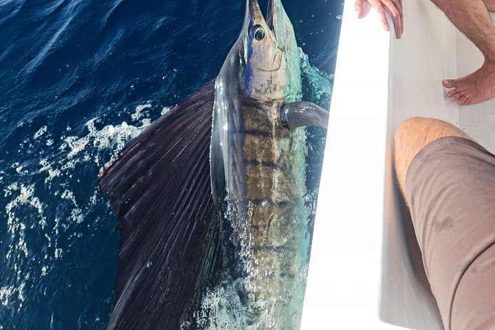Santa Teresa Offshore Deep‑Sea Fishing: Sailfish, Marlin & Yellowfin photo 2