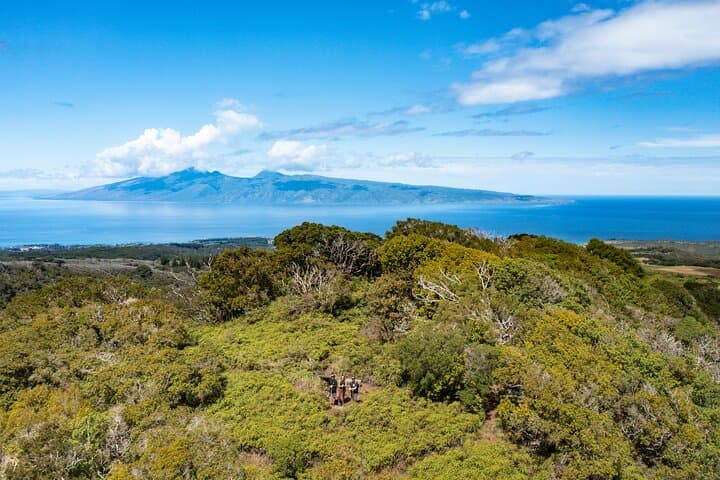 Hike Honolua Ridgeline: Puʻu Kukui Conservation Trek in Kapalua photo 2