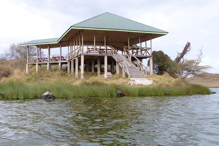 Great Migration Safari: Serengeti River Crossings & Epic Wildlife Viewing photo 4