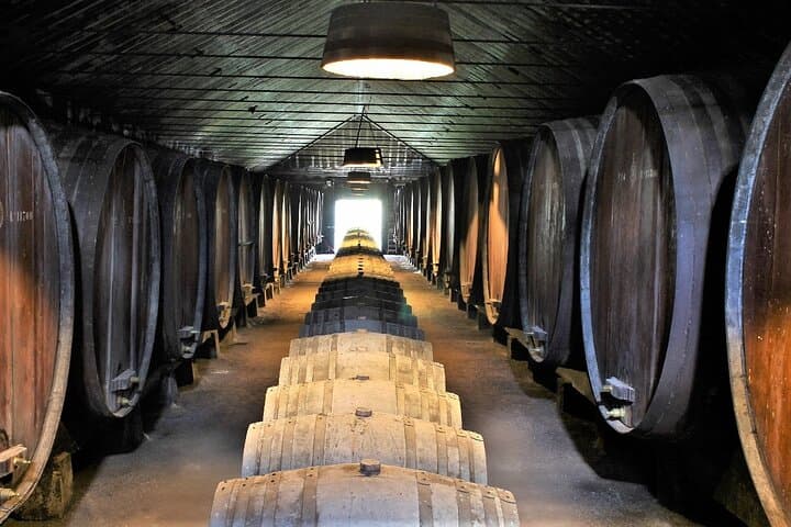 Full-Day Private Setúbal Wine Tasting Tour from Lisbon