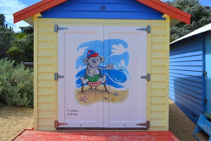 Mornington Peninsula Nature Tour: Moonlit Sanctuary, Arthurs Seat & Dendy Beach photo 5