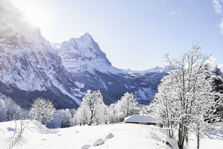 Wetterhorn Snowshoe Tour from Grindelwald to Ischboden Hut photo 2
