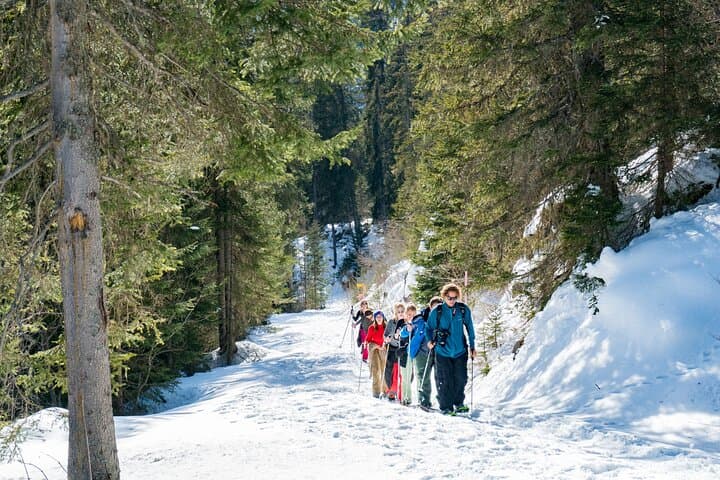 Wetterhorn Snowshoe Tour from Grindelwald to Ischboden Hut photo 3