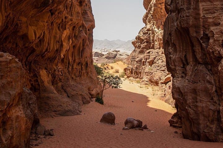 Wadi Rum Half-Day Jeep Tour: Red Dunes, Canyons & Lawrence's Spring photo 6