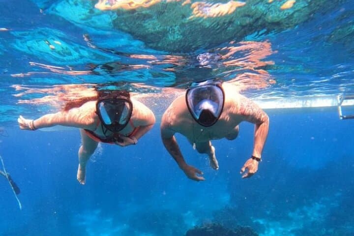 Isla Contoy and Isla Mujeres Day Trip from Cancun: Snorkel Reefs, Bird Colonies & Beach Lunch photo 6