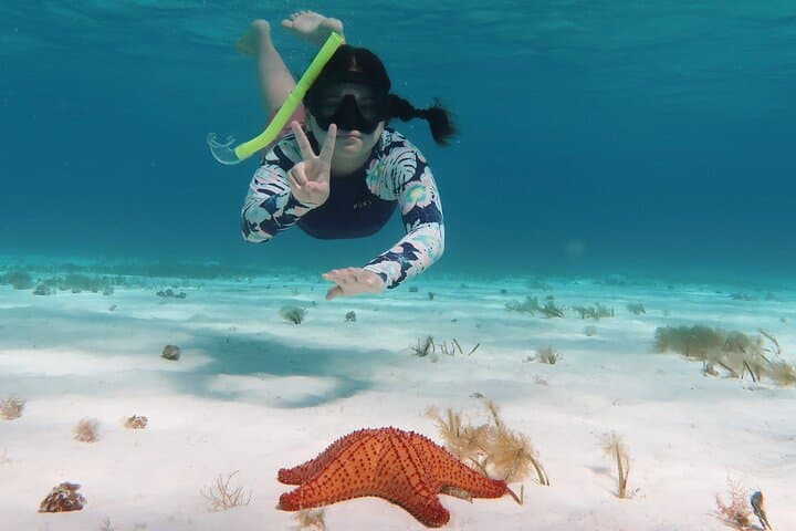 Cozumel Snorkel Day Trip: El Cielo, Palancar & Columbia Reefs from Cancún photo 4
