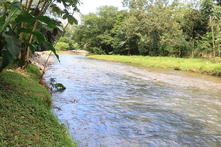 Costa Rican Cooking Class in La Fortuna — Learn to Make Gallos on a Farm photo 3