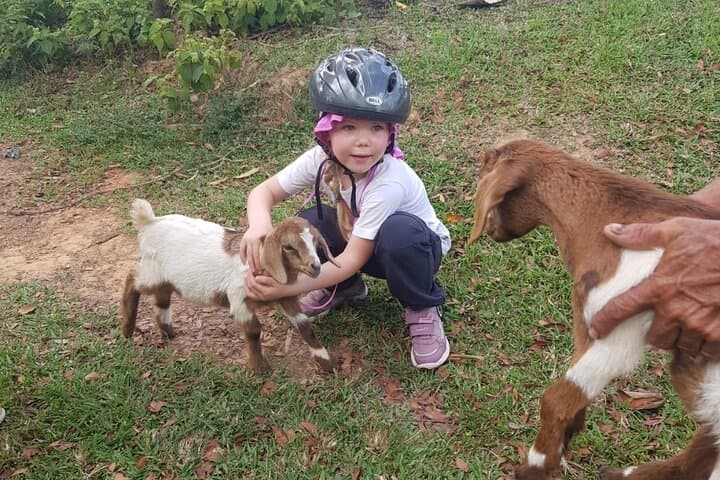 Dominican Horseback Riding Adventure on a Working Cattle Ranch photo 3