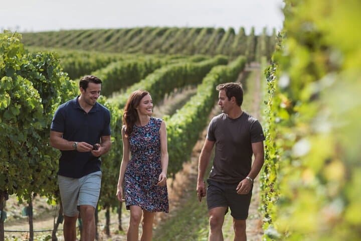 Marlborough Hop-On Hop-Off Wine Tour — Cruise Ship Day from Picton photo 6