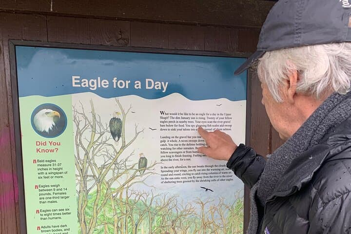 Skagit River Bald Eagle Nesting Tour from Seattle photo 4