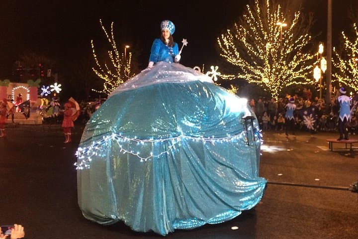 Seattle Christmas Lights Photo Tour: Garden d'Lights & Snowflake Lane Parade photo 3