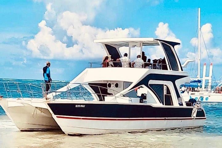 Private Catamaran to Bibijagua Beach: Snorkel, Natural Pool & Dolphin Views