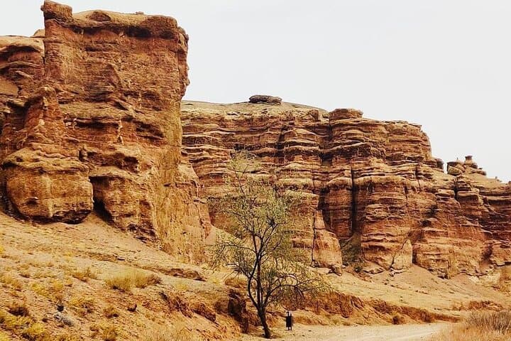 Explore Charyn Canyon: Valley of Castles Day Tour from Almaty photo 4
