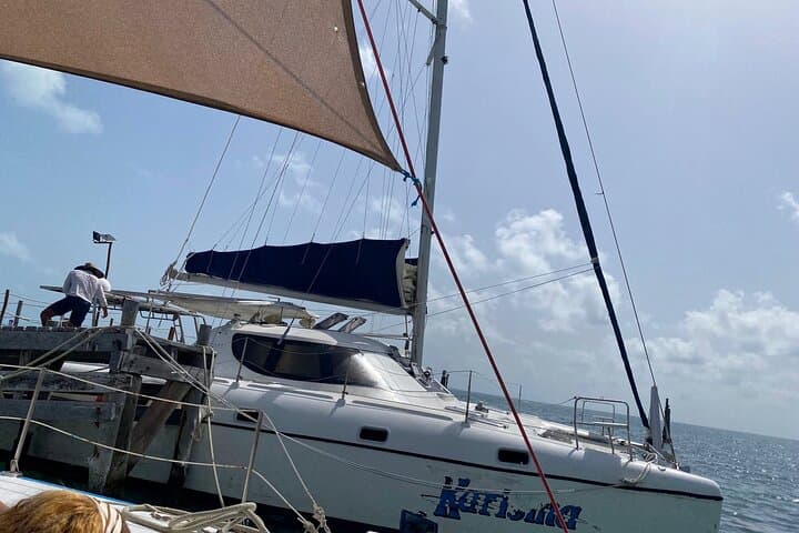 Catamaran to Isla Mujeres: Snorkel Meco Reef & Playa Norte with Open Bar from Cancun photo 4
