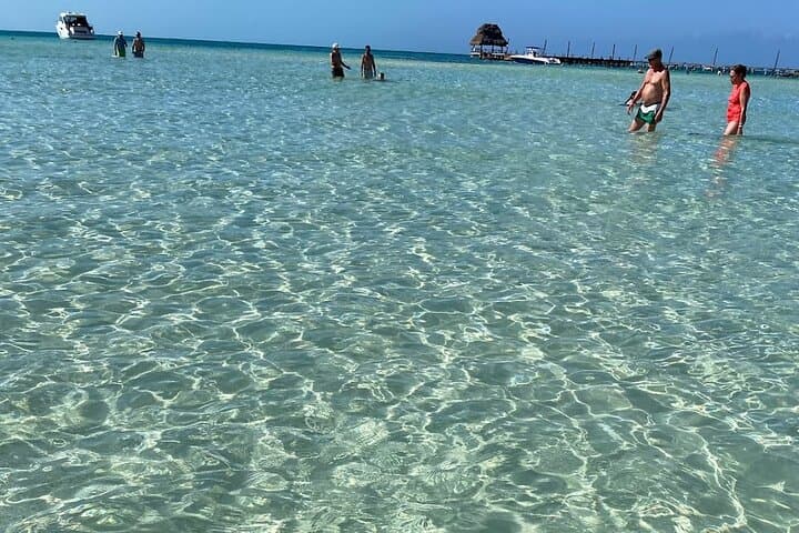Catamaran to Isla Mujeres: Snorkel Meco Reef & Playa Norte with Open Bar from Cancun photo 5
