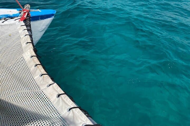 Catamaran to Isla Mujeres: Snorkel Meco Reef & Playa Norte with Open Bar from Cancun photo 6