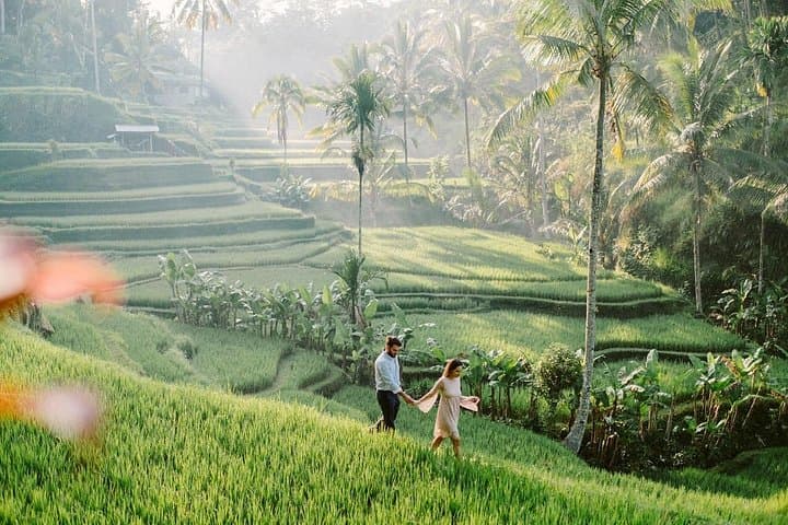 Ubud All-Inclusive Private Guide Tour — Monkey Forest, Tegalalang Rice Terraces & Jungle Swing photo 2
