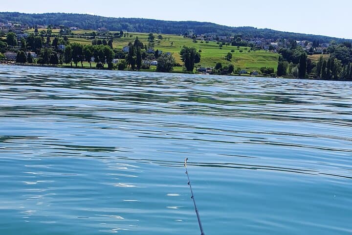Private Half-Day Fishing Tour on Lake Constance (Untersee) — Guided Boat Trip from Kreuzlingen photo 3