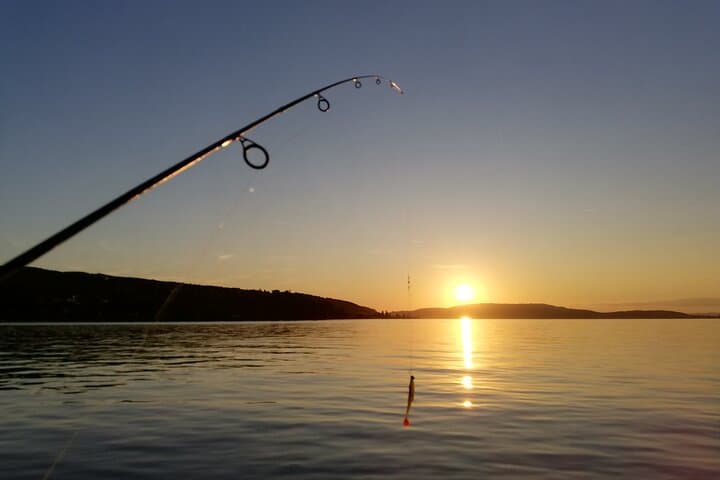 Private Half-Day Fishing Tour on Lake Constance (Untersee) — Guided Boat Trip from Kreuzlingen photo 5