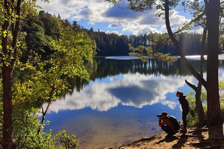Private Day Trip from Tallinn: Lahemaa & Kõrvemaa Hiking Escape