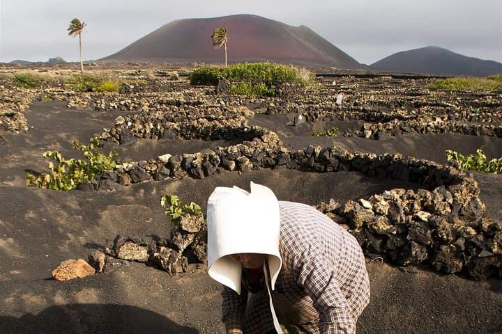 South Route Natural Pools, Las Salinas & La Geria — Lanzarote Small-Group Tour photo 6