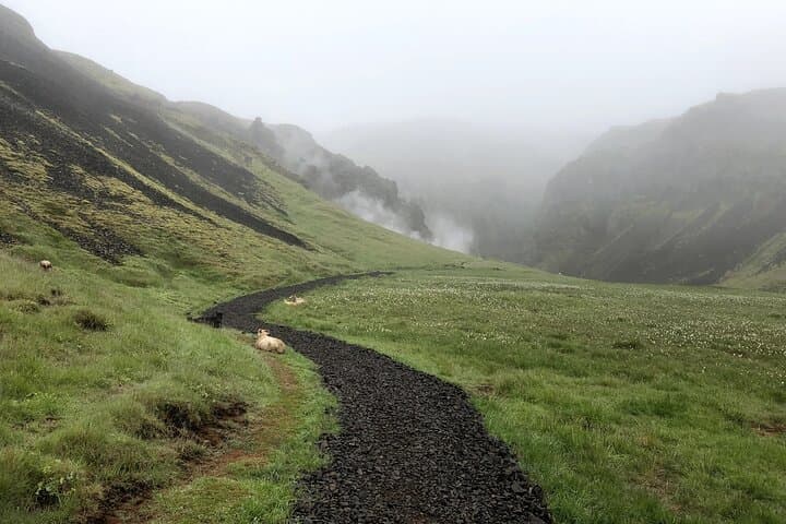 Reykjadalur Hot River Hike: Private Day Trip from Reykjavík to Geothermal River Baths photo 6