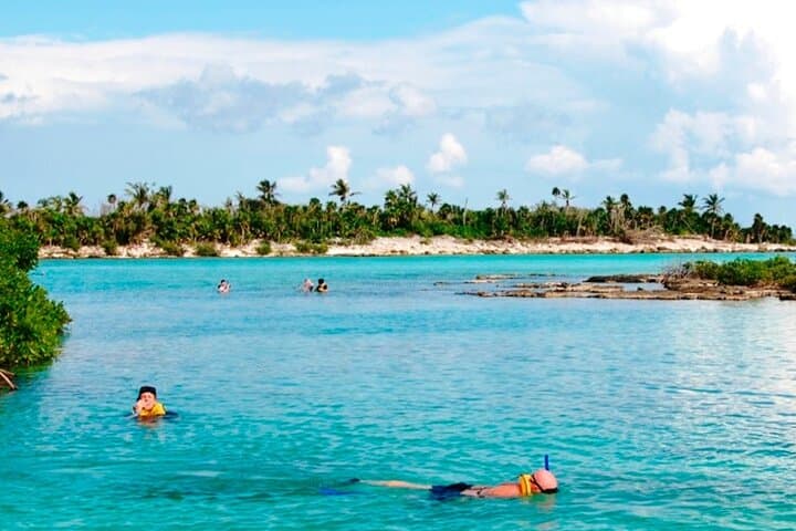 Riviera Maya Jungle Adventure: Zipline, Cenote Snorkel & Rappel in Yal-Kú photo 3
