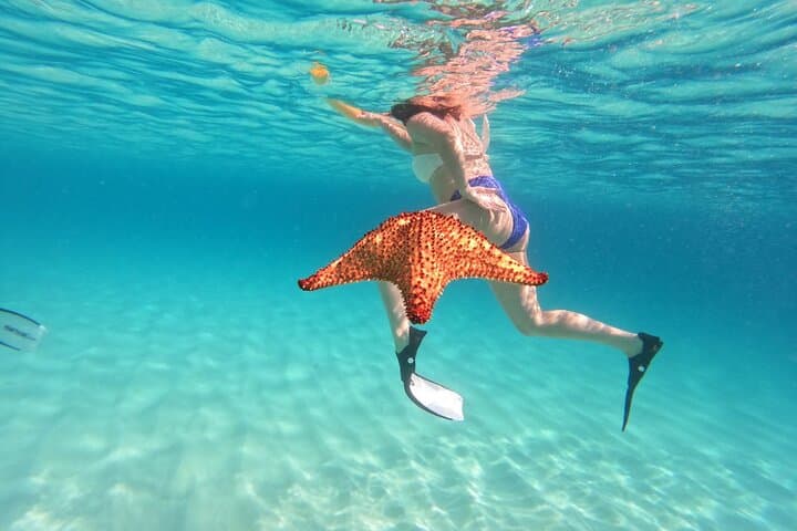 Private Full-Day Catamaran Tour to Tintamarre, Pinel & Happy Bay — St Maarten photo 6