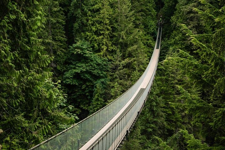 Private Vancouver Sightseeing Tour: Downtown, Stanley Park & North Shore Mountains