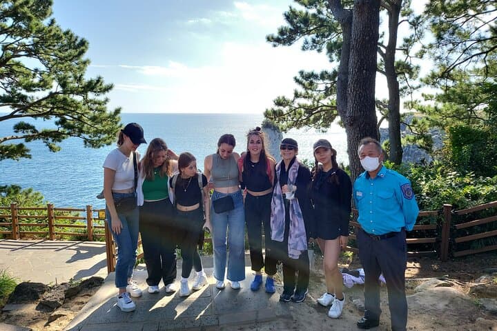 Jeju South & West Private Day Tour — Waterfalls, Basalt Cliffs & Tea Fields photo 3