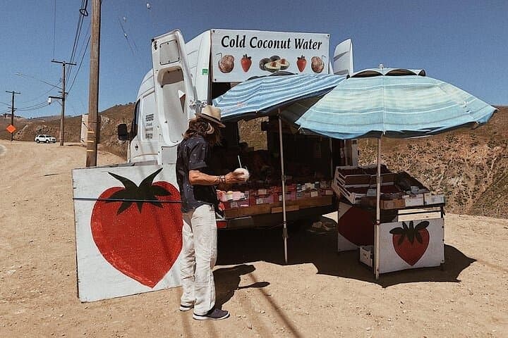 Cruising the Malibu Coastline: Vintage VW Tour with Scenic Views and Wine Tasting photo 3