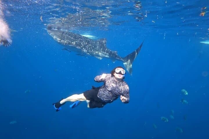 Oslob Whale Shark Snorkel — Cebu Day Trip Guide photo 4