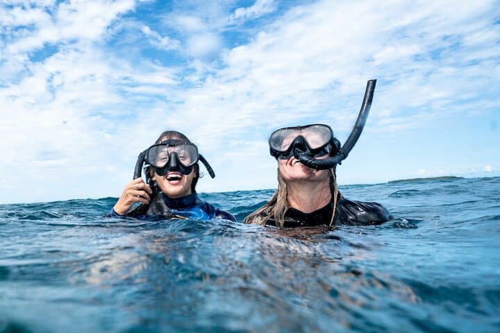 Julian Rocks Snorkel Tour Byron Bay — Guided Marine Biologist Experience photo 6