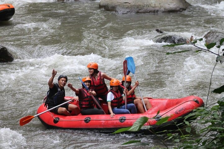 Ayung River Rafting & Ubud Highlights: Bali Swing, Monkey Forest and Tegenungan Waterfall photo 2