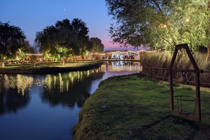 Desert Evenings at Al Marmoom: Luxury Tents, Bedouin Dinner & Camel Sunset