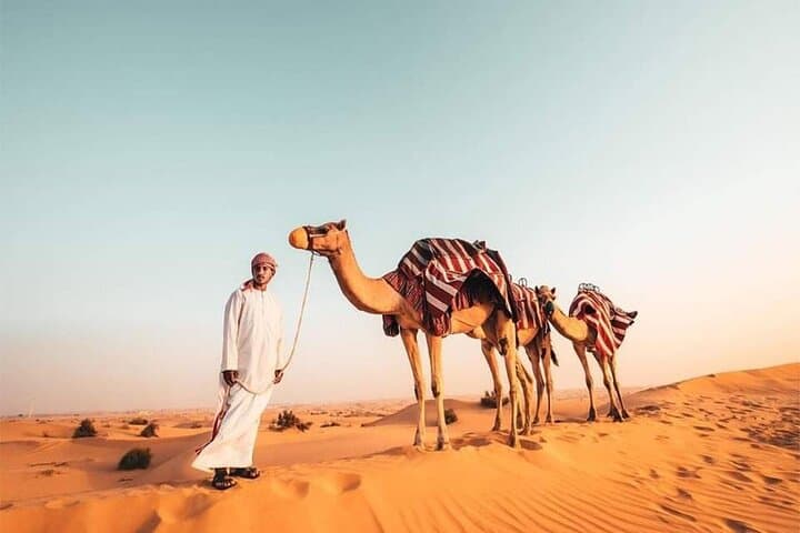 Dubai Red Dune Safari: Sunset Dune Bashing, Camel Ride & BBQ Camp photo 3