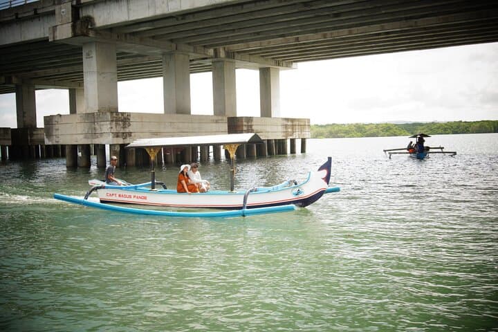 Jukung Mangrove Tour Bali — Jimbaran Mangrove Conservation Experience photo 4