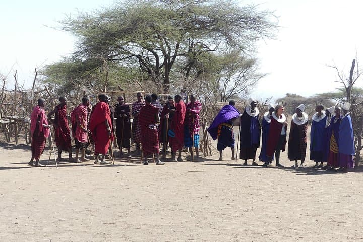 6-Day Northern Safari: Tarangire, Serengeti & Ngorongoro Wildlife Circuit photo 3