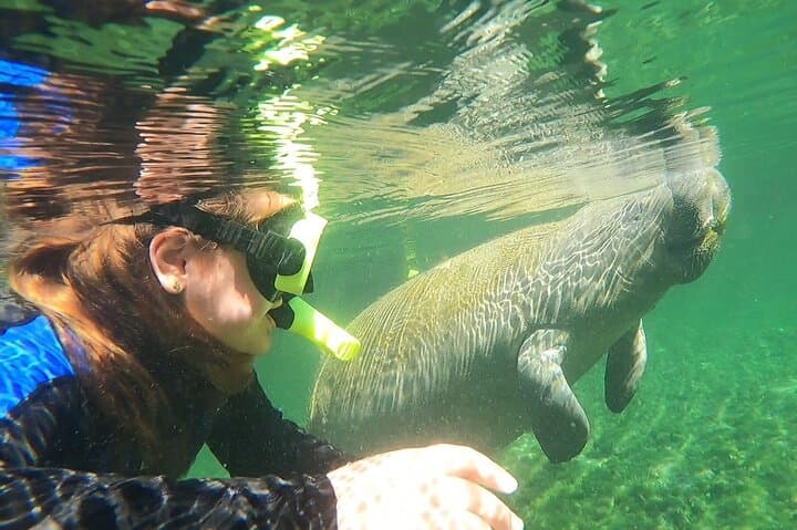 VIP Private Manatee Snorkel Tour in Crystal River — Private Boat, In-Water Guide & Photos photo 6