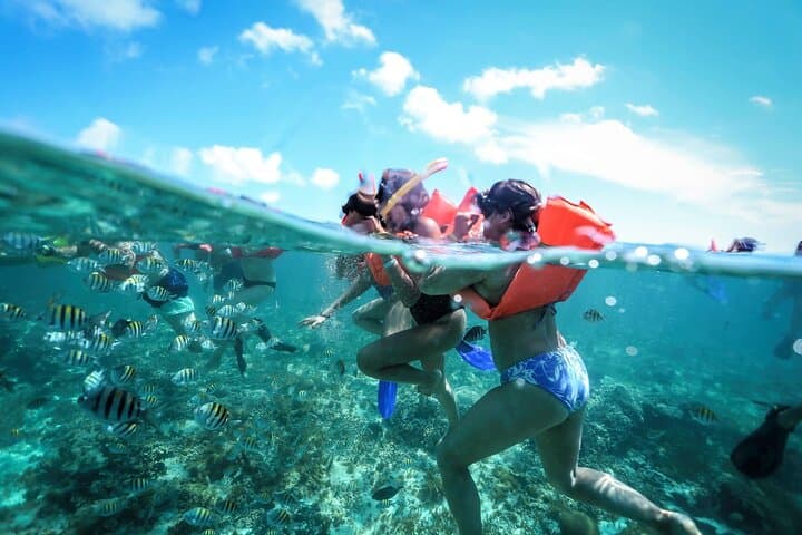 Isla Contoy & Isla Mujeres Day Trip from Cancún — Snorkel Ixlaché Reef and Eco-Explore photo 3