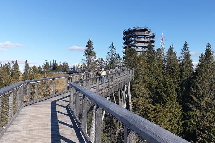 Bachledka Treetop Walk and Thermal Baths: Private Day Trip from Kraków photo 5